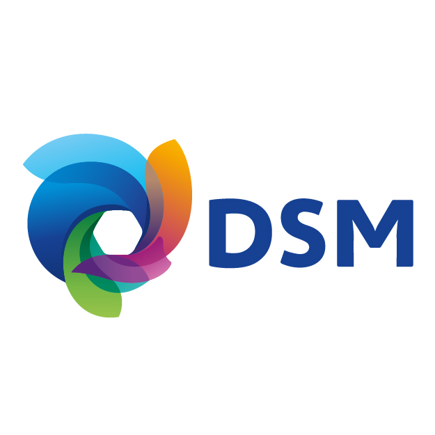 DSM